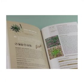 01 el llibre de les plantes silvestres comestibles 2