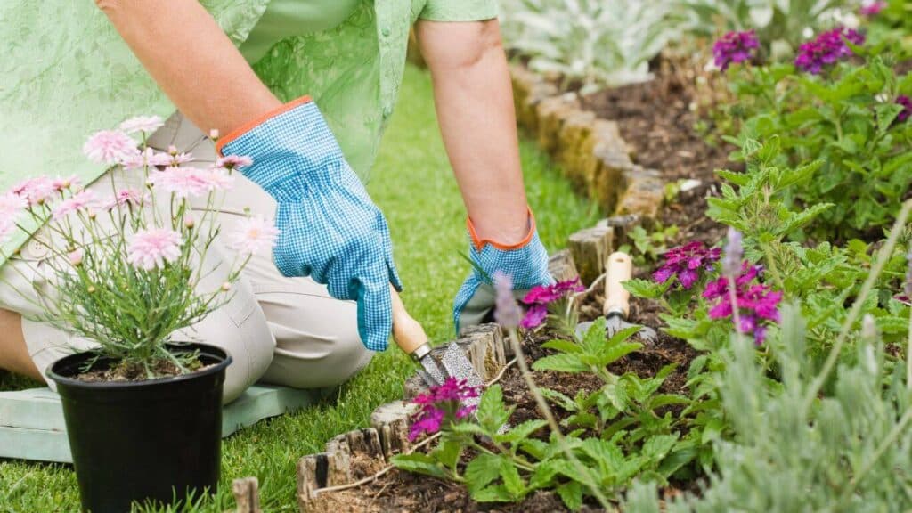 Serveis de Jardineria per Particulars