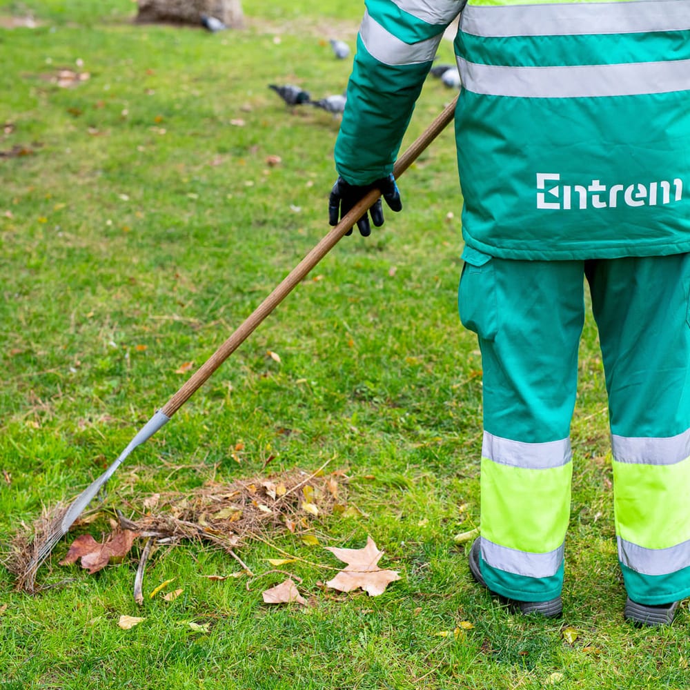 Serveis de Jardineria per Empreses