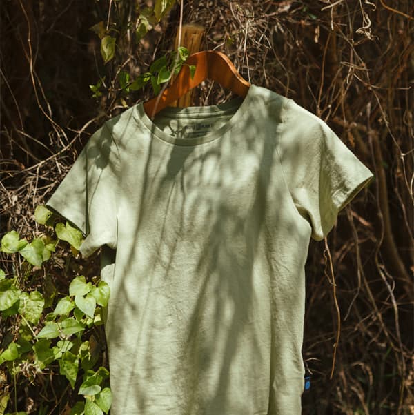 Moss Green. Cotó orgànic regeneratiu molt suau al tacte. - Imatge 4