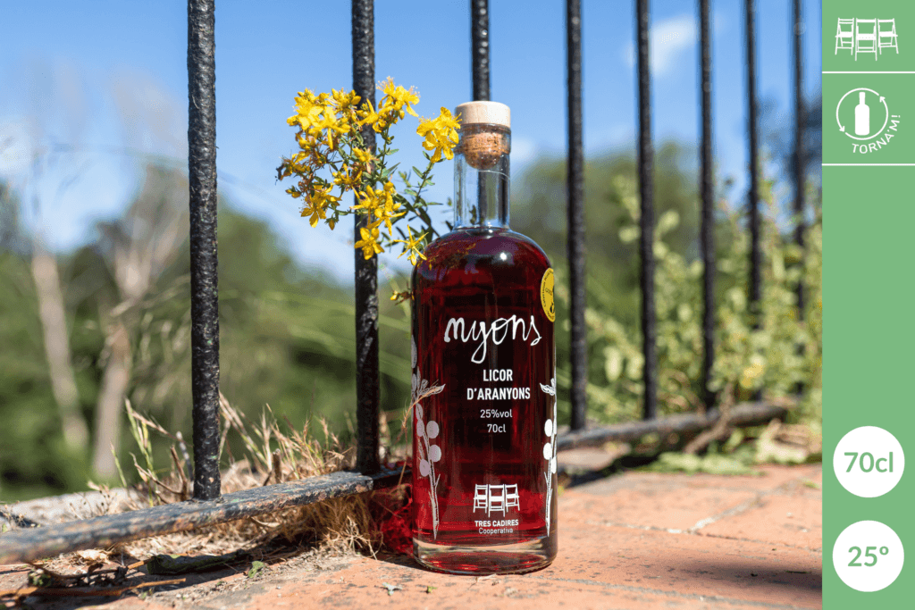 Patxaran / licor d’aranyons NYONS