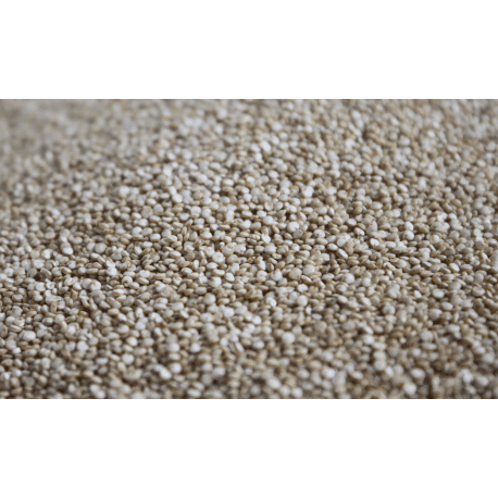 Quinoa 5kg - IDEAS - reenvasat Quèviure