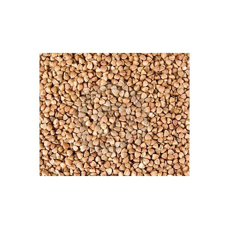 Fajol (Blat Sarraï) 5kg