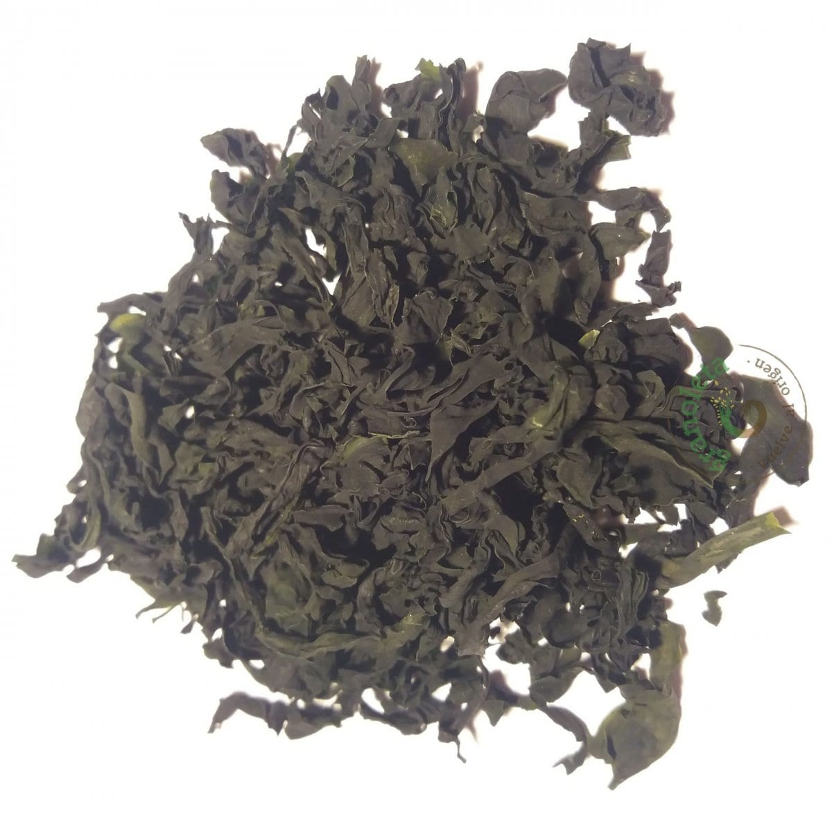 Alga Wakame