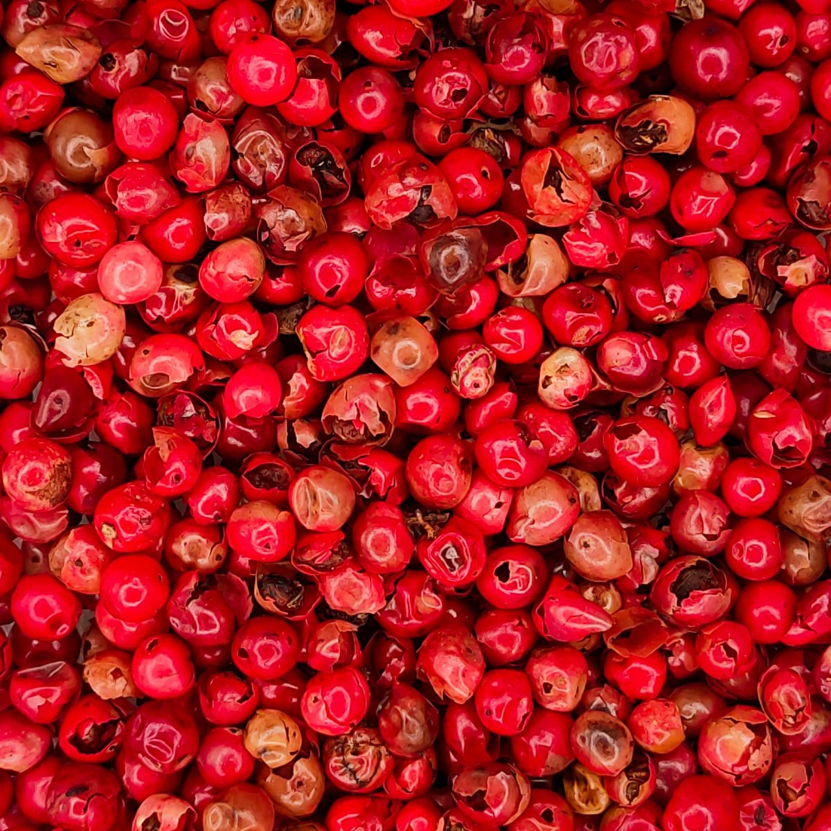 Pebre de la botiga