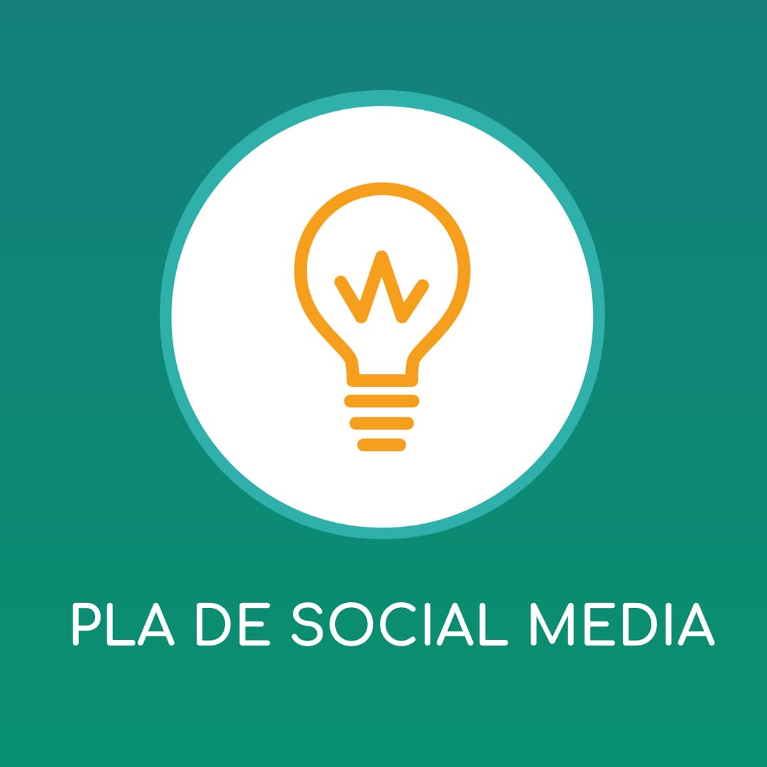 Pla de Social Media 1 Pla de Social Media