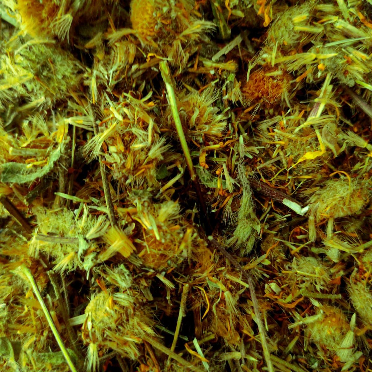 Arnica de la botiga