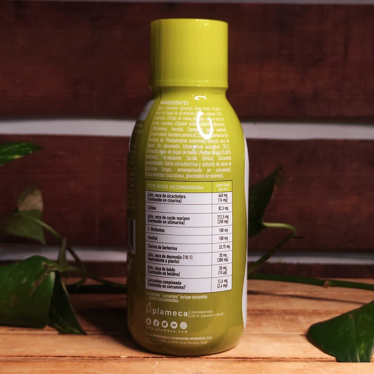 BER-DETOX - Imatge 2