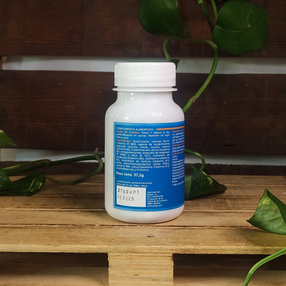 COMPLEX B VITAMINES - Imatge 2