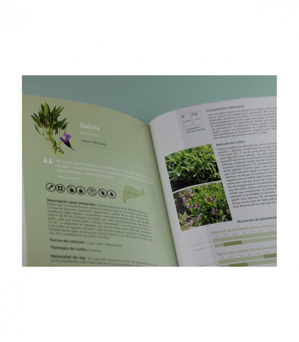 02 El Llibre de les Plantes Silvestres comestibles 2 02 El Llibre de les Plantes Silvestres comestibles - Imatge 2