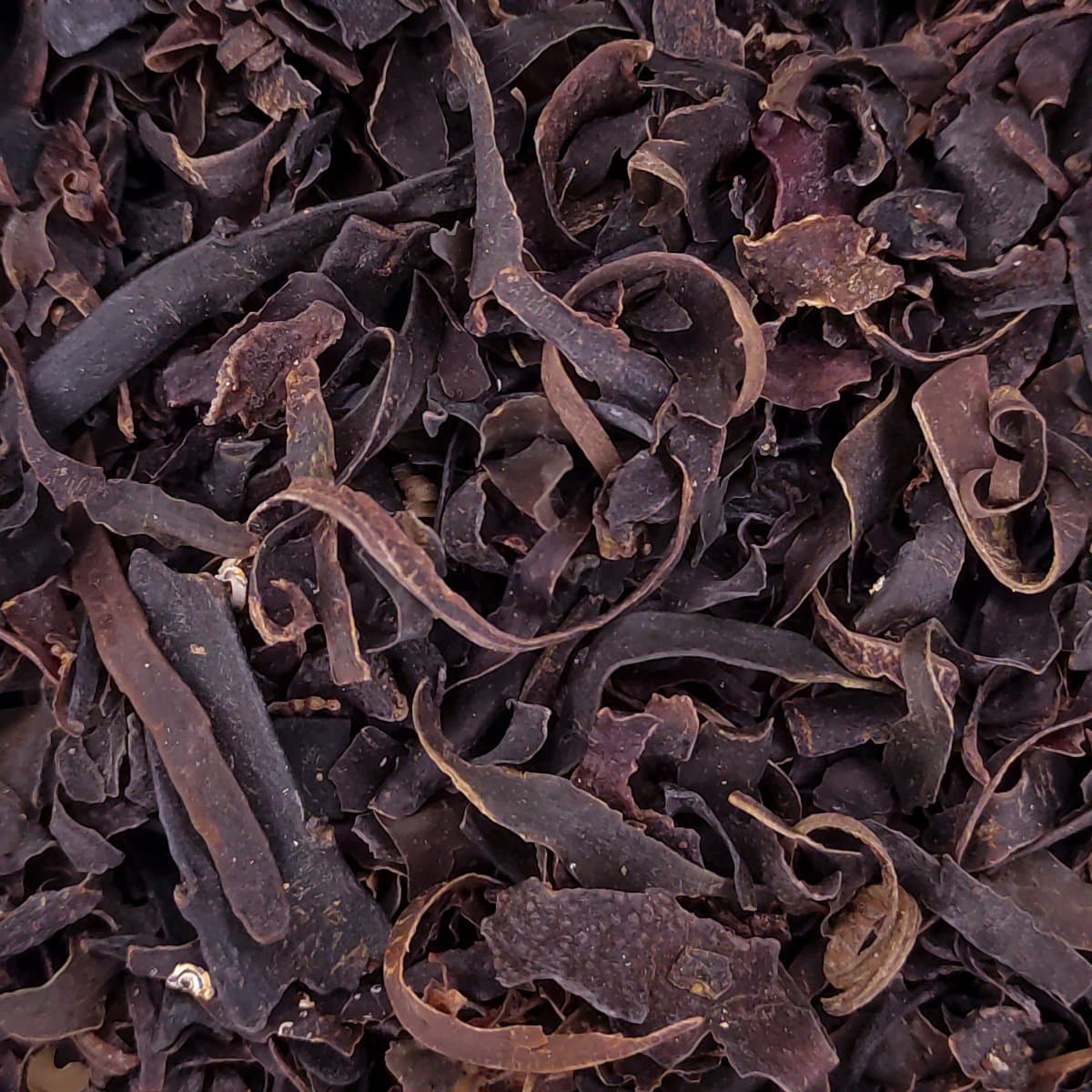 Fucus de la botiga