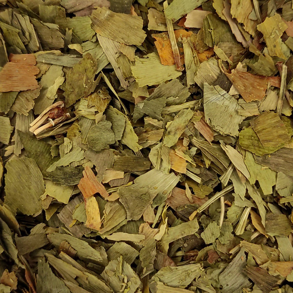 Ginko de la botiga