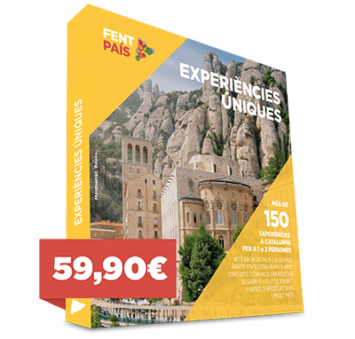 Capsa d'experiències 