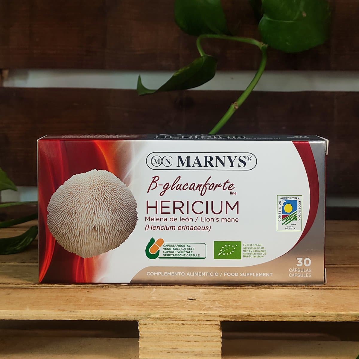 HERICIUM (cabellera de lleó)