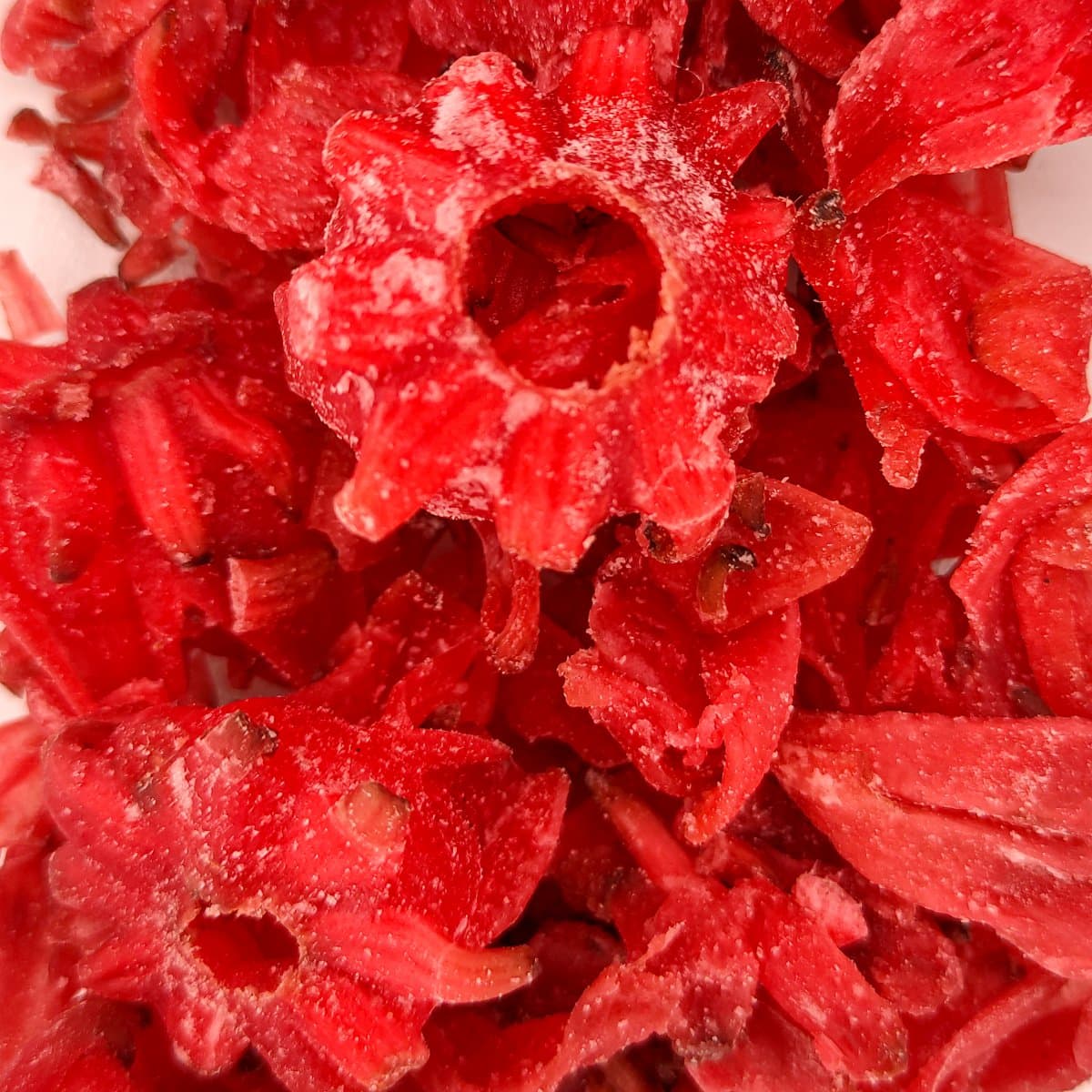Hibiscus de la botiga