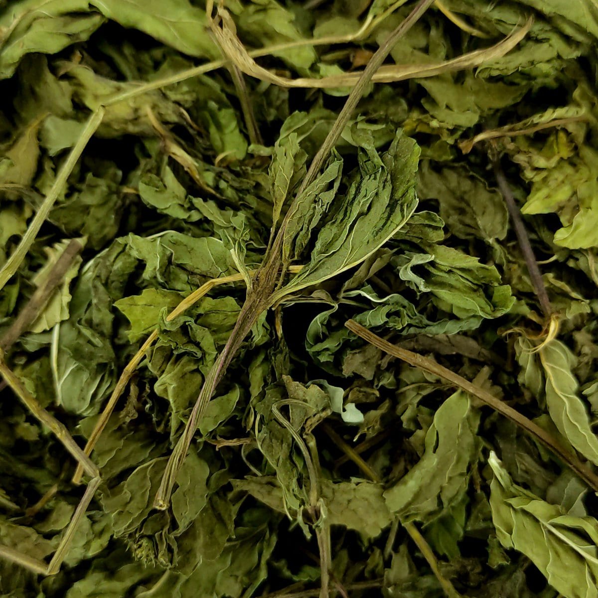 Herbabona de la botiga