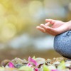 Taller de meditació en moviment a la natura