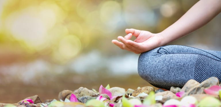 Taller de meditació en moviment a la natura