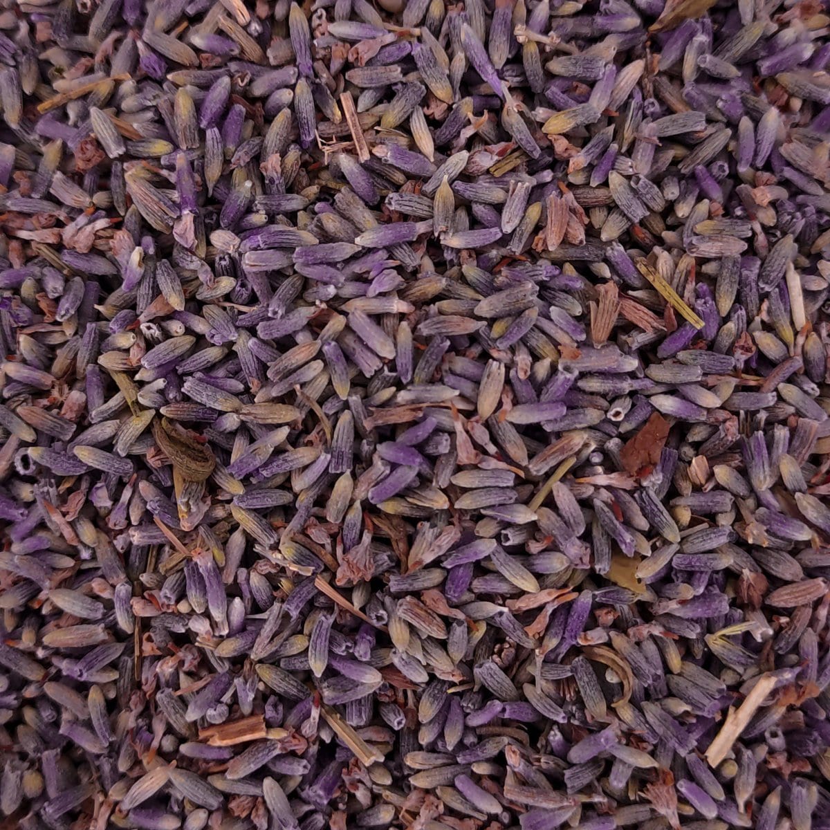 Lavanda de la botiga