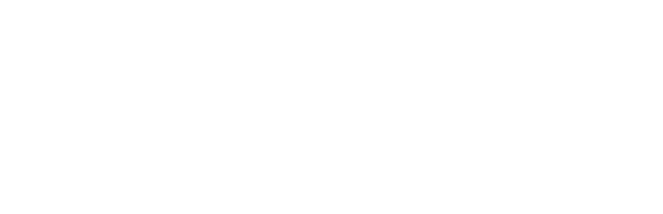 lazona opcions logo
