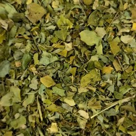 Moringa de la botiga