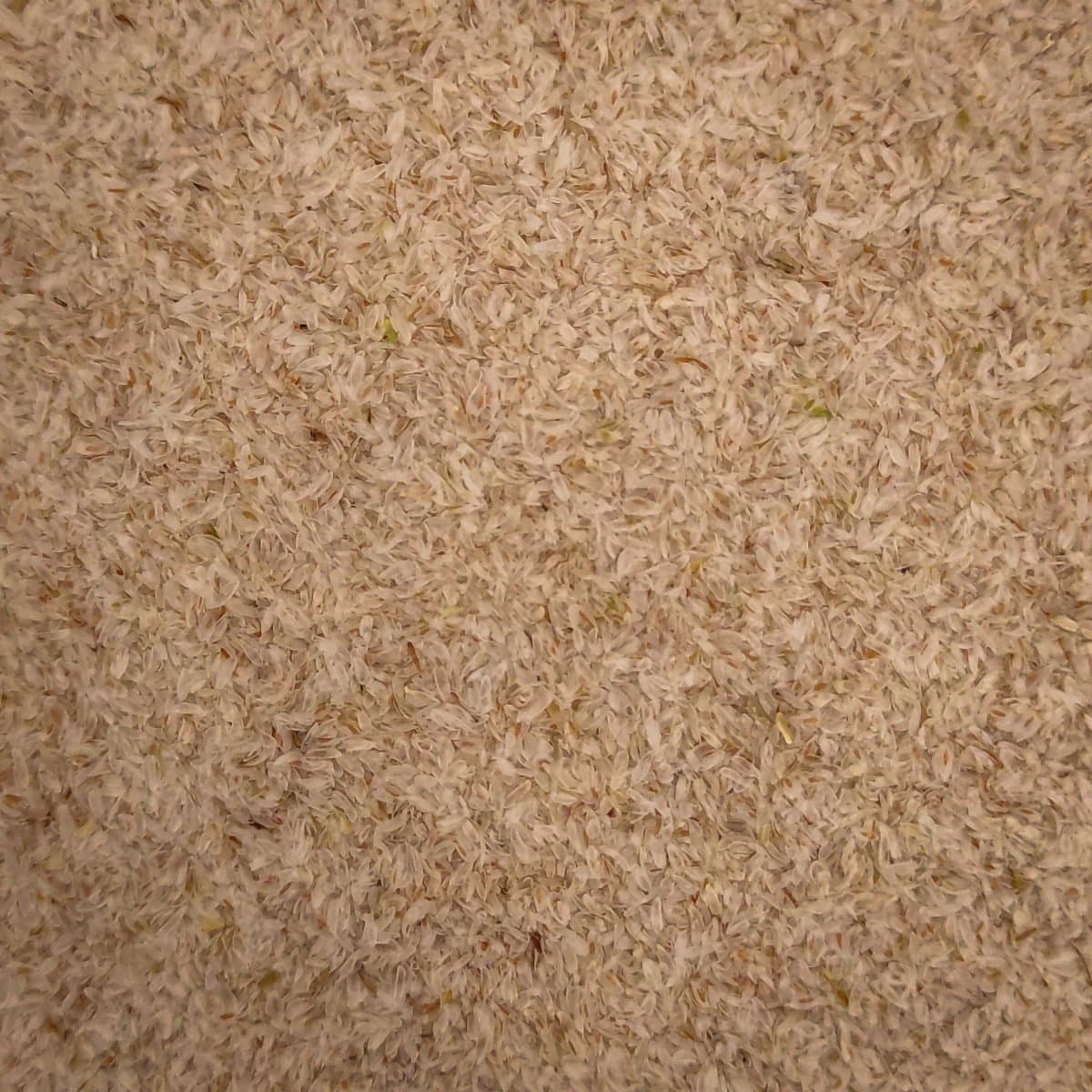 Psyllium de la botiga