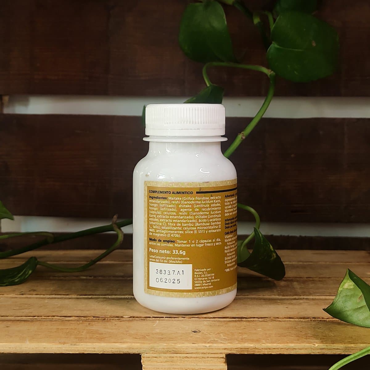 REISHI + SHIITAKE + MAITAKE + VITAMINA C - Imatge 2