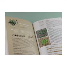 01 el llibre de les plantes silvestres comestibles 2