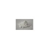 Sucre de Canya Glass 5kg