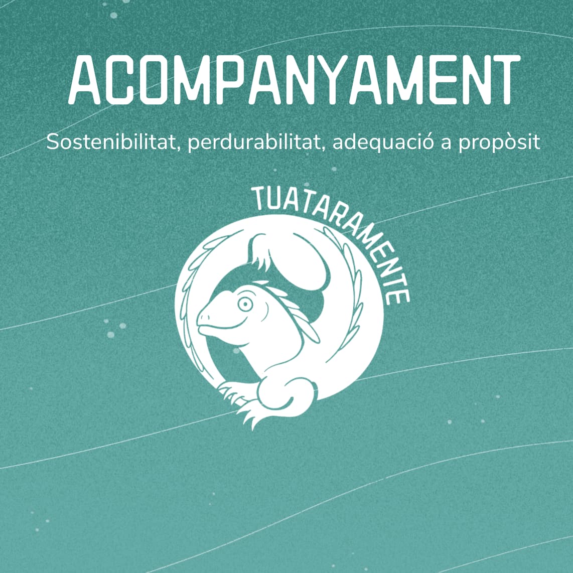 Acompanyament a entitats a ser més sostenibles i perdurables 1 Acompanyament