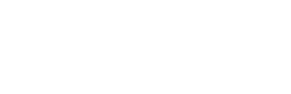 lazona opcions logo