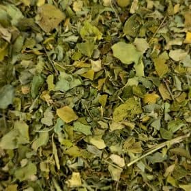 Moringa de la botiga