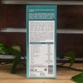 protectium 2